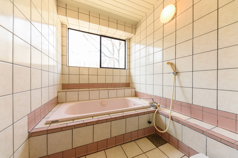 Bathroom 3, Kujukogen Ginga no Yado Kinoko IIseigo, Taketa