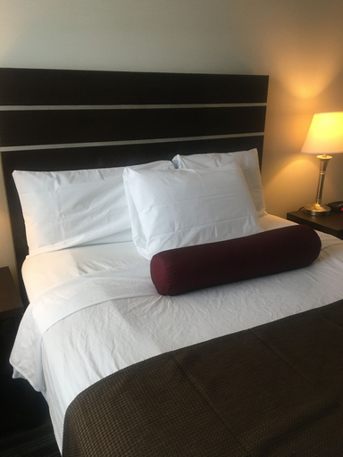 Bedroom 3, Super 8 by Wyndham Saskatoon Near Downtown, Division No. 11