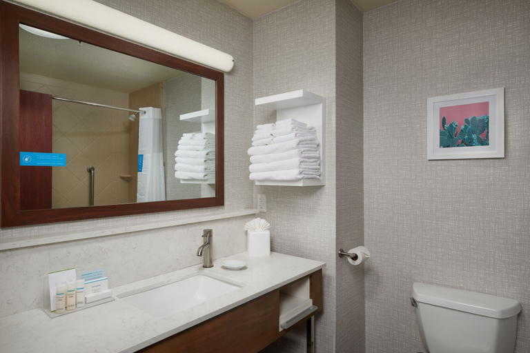 Bathroom 5, Hampton Inn & Suites Phoenix-Surprise, Maricopa