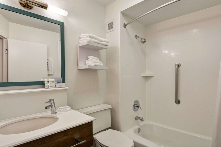 Bathroom 5, Hampton Inn Columbia-I-26 Airport, Lexington