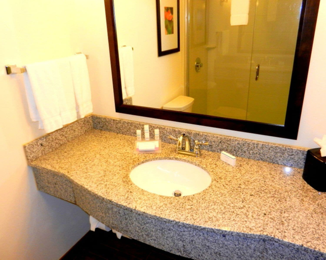 Bathroom 4, Hilton Garden Inn Pascagoula, Jackson