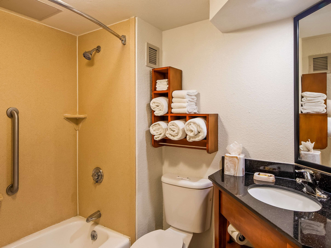Bathroom 3, Clarion Pointe near Medical Center, Bexar