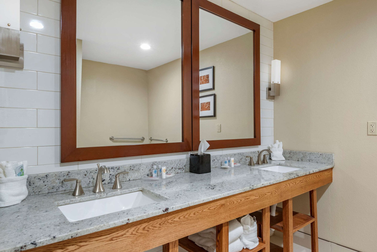 Bathroom 4, Comfort Suites University, Lubbock