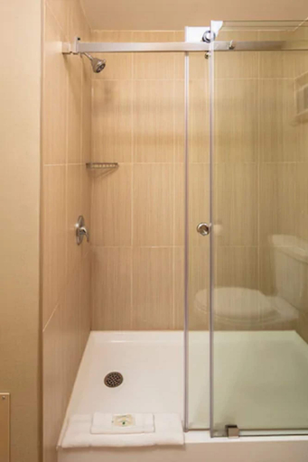 Bathroom 5, Quality Inn & Suites Downtown Windsor, Essex