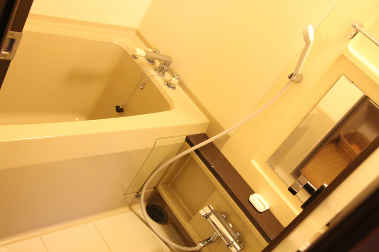 Bathroom 5, Senkyoro, Hakone