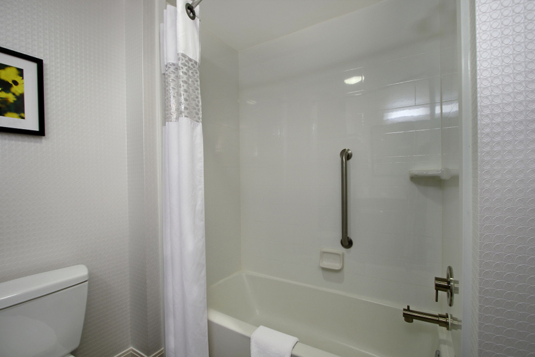 Bathroom 4, Hampton Inn Hagerstown-I-81, Washington
