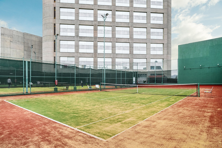 Exterior & Views 2, Hyatt Regency Mexico City, Mexico City