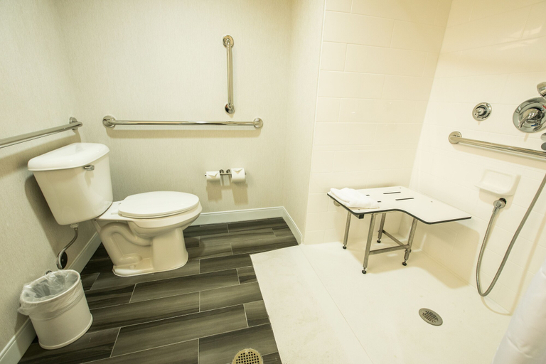 Bathroom 4, Hampton Inn & Suites Tempe/Phoenix Airport, AZ, Maricopa