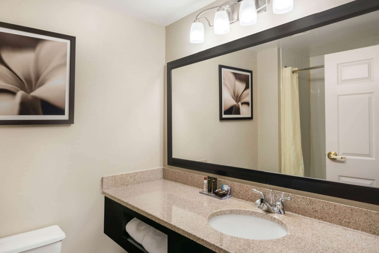 Bathroom 4, Wingate by Wyndham Lexington, Rockbridge