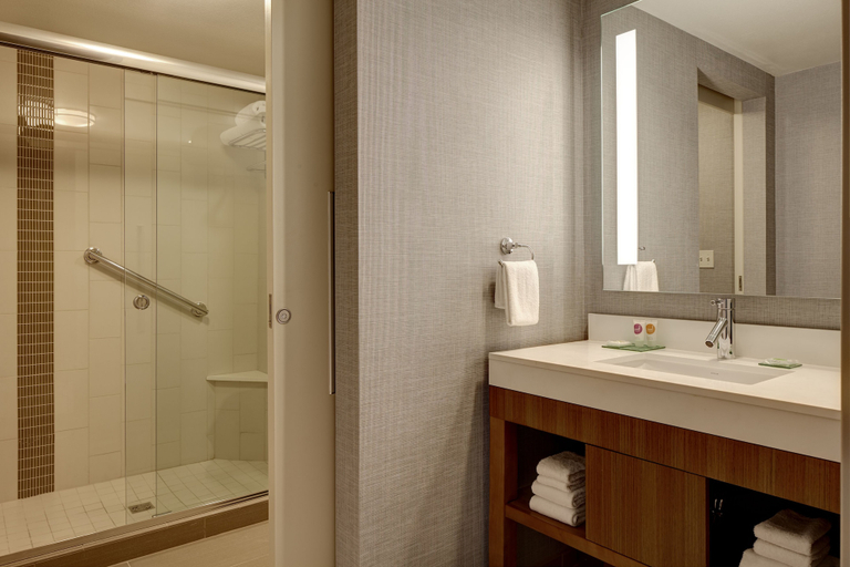Bathroom 5, Hyatt Place DFW, Tarrant