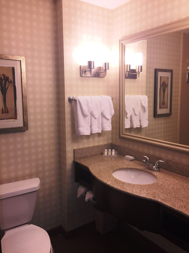 Bathroom 4, Hilton Garden Inn Houston West Katy, Houston
