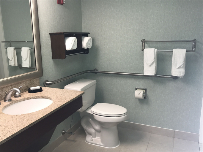 Bathroom 4, Hampton Inn by Hilton New Bedford/Fairhaven, Bristol