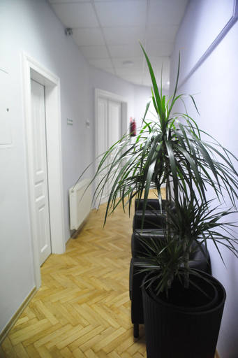 Others 3, Kosmopolita Rooms, Kraków City