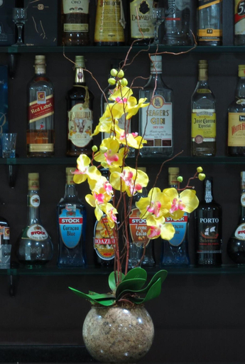 Food & Drinks 5, Steel Valley Hotel, Ipatinga