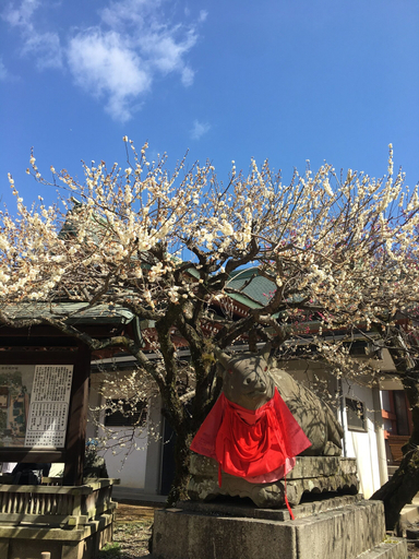 Exterior & Views 2, Tsubame-ya - Hostel, Kyoto