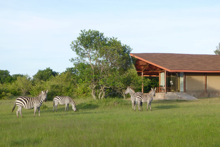 Others 5, Simba & Oryx Nature Camp, Narok West