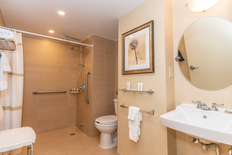 Bathroom 5, Ottawa Marriott Hotel, Ottawa
