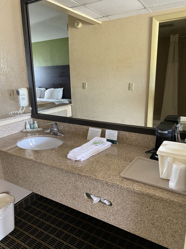 Bathroom 4, Quality Inn & Suites Big Rapids near University, Mecosta