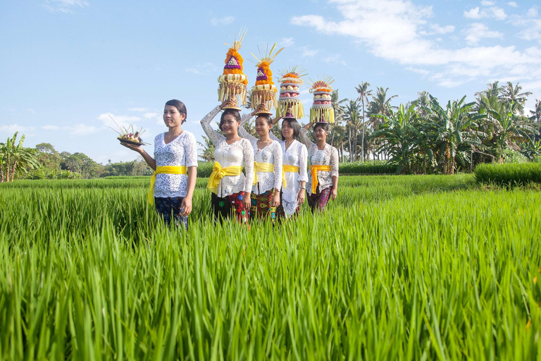 Others 4, Wyndham Tamansari Jivva Resort, Klungkung