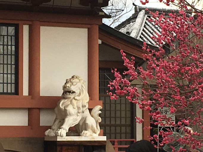 Exterior & Views 2, Tsubame-ya - Hostel, Kyoto