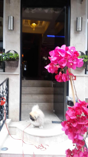 Exterior & Views 2, Pearl Hotel Istanbul, Fatih