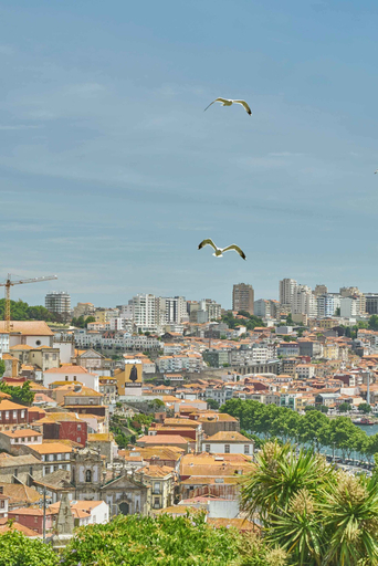 Exterior & Views 2, Torel Avantgarde, Porto