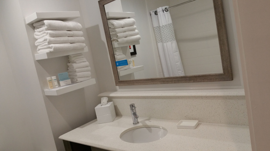 Bathroom 5, Hampton Inn & Suites Houston/Atascocita, Houston