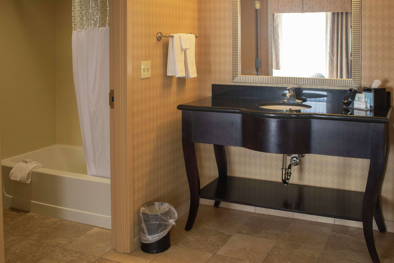Bathroom 4, Hampton Inn & Suites-Knoxville/North I-75, Knox