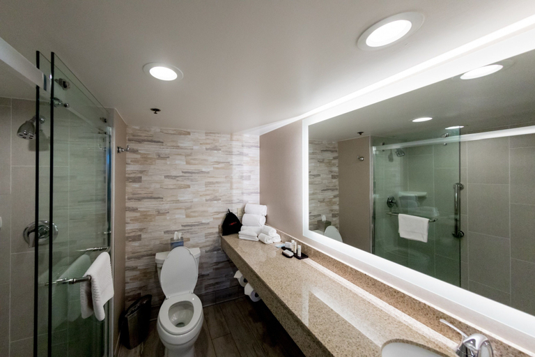 Bathroom 5, Embassy Suites by Hilton Lexington Green, Fayette