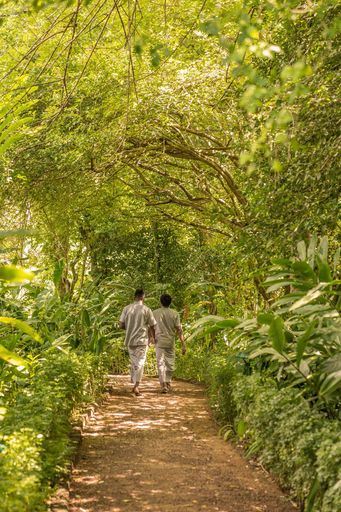Property grounds, Tisara Villas, Habaraduwa