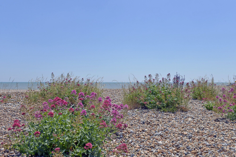 Others 4, Beach Garden, East Sussex