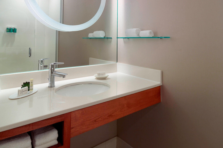 Bathroom 5, SpringHill Suites by Marriott Atlanta Airport Gateway, Clayton