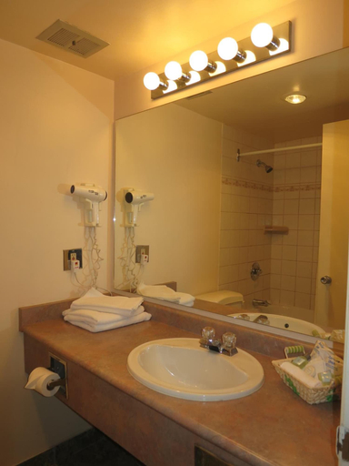 Bathroom 4, Tropicana Suite Hotel, Greater Vancouver