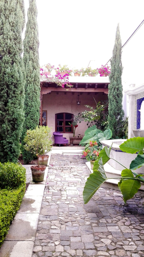 Exterior & Views 2, San Rafael Hotel, Antigua Guatemala