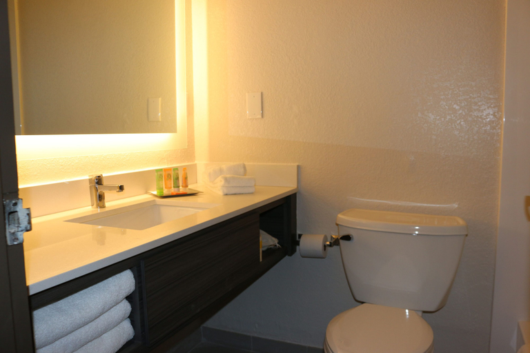 Bathroom 4, Wyndham Garden Tallahassee Capitol, Leon