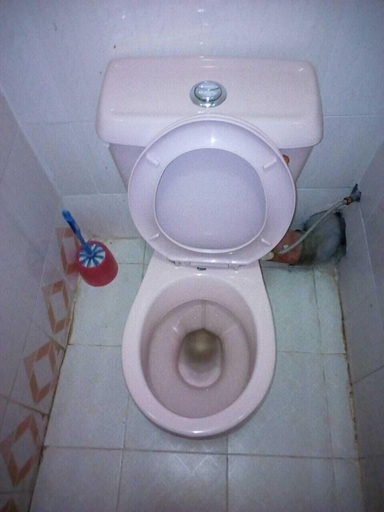 Bathroom 5, Batian Guest Hotel, Kieni