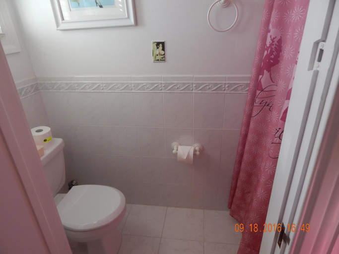 Bathroom 3, Summer Nites, Cape May