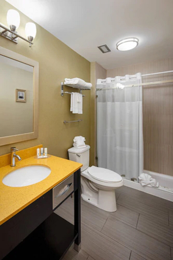 Bathroom 5, Quality Inn & Suites Downtown Windsor, Essex