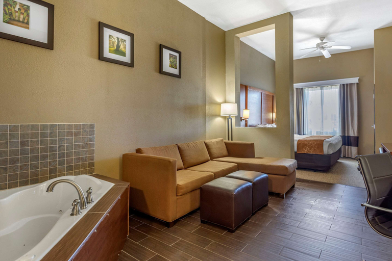 Bathroom 4, Comfort Suites Batesville, Panola