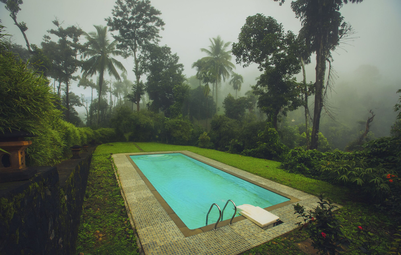Sport & Beauty, After the Rains, Wayanad
