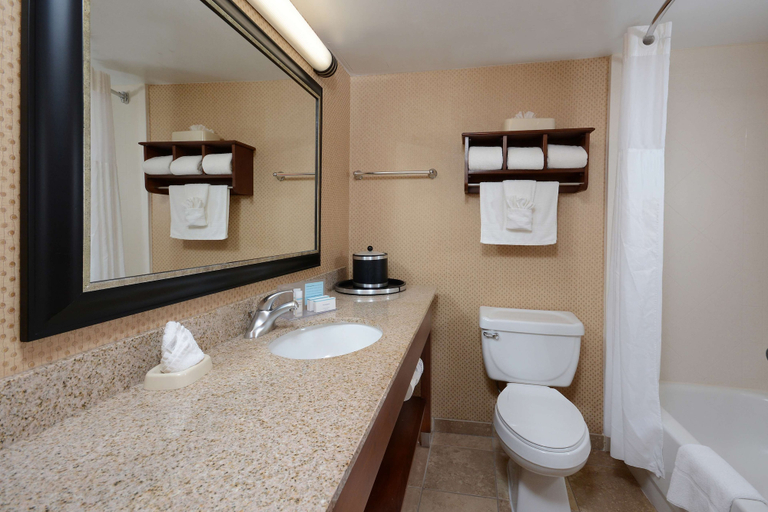 Bathroom 4, Hampton Inn Raleigh-Durham Airport, Wake