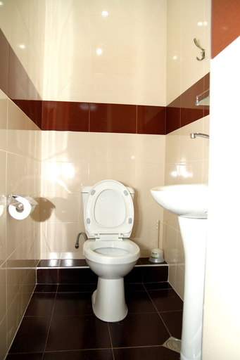 Bathroom 3, Georgia Tbilisi GT Hotel, Tbilisi