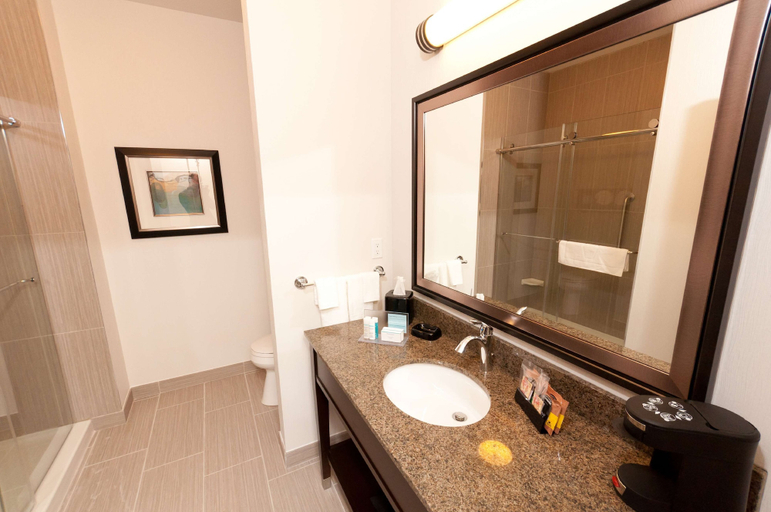 Bathroom 5, Hampton Inn & Suites by Hilton Regina East Gate, Division No. 6