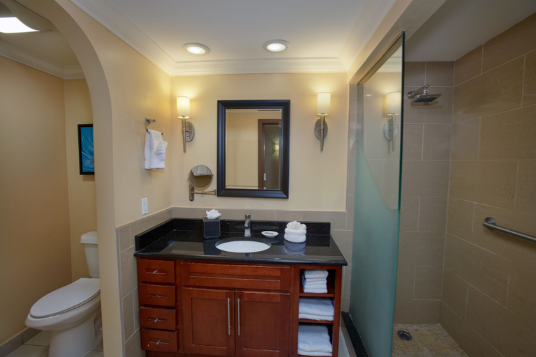 Bathroom 4, Divi Village Golf & Beach Resort