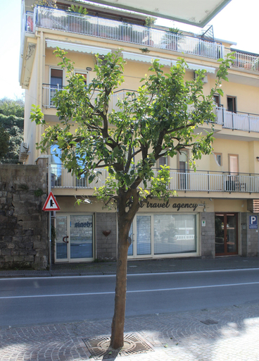 Exterior & Views 2, Sorrento Comfort Rooms, Napoli