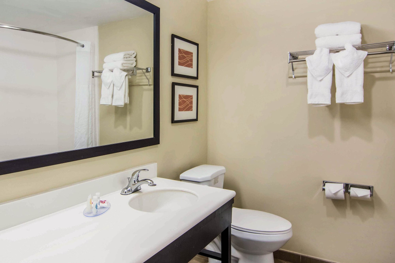 Bathroom 4, Comfort Inn Atlanta Downtown South, Atlanta