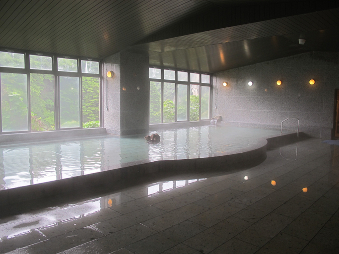 Sport & Beauty 4, Hotel New Ohruri, Nikkō