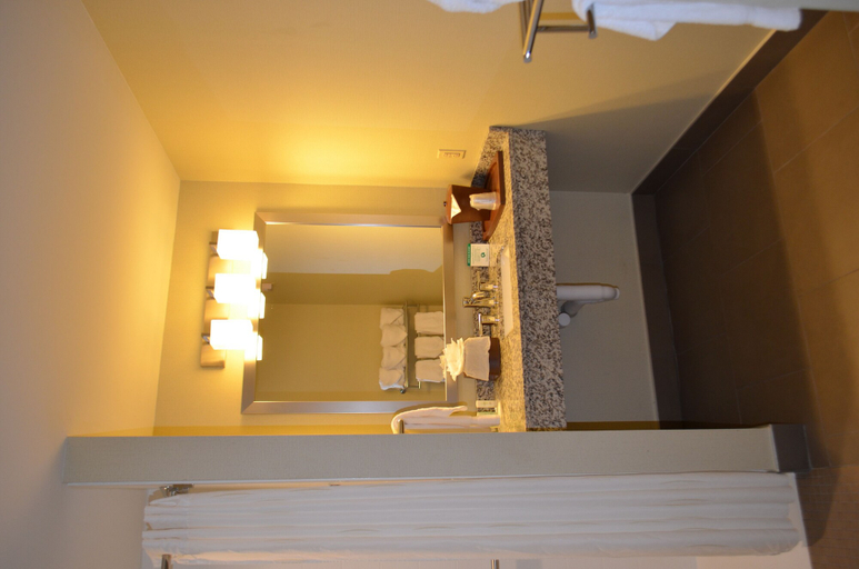 Bathroom 4, Comfort Suites Bossier City - Shreveport, Bossier