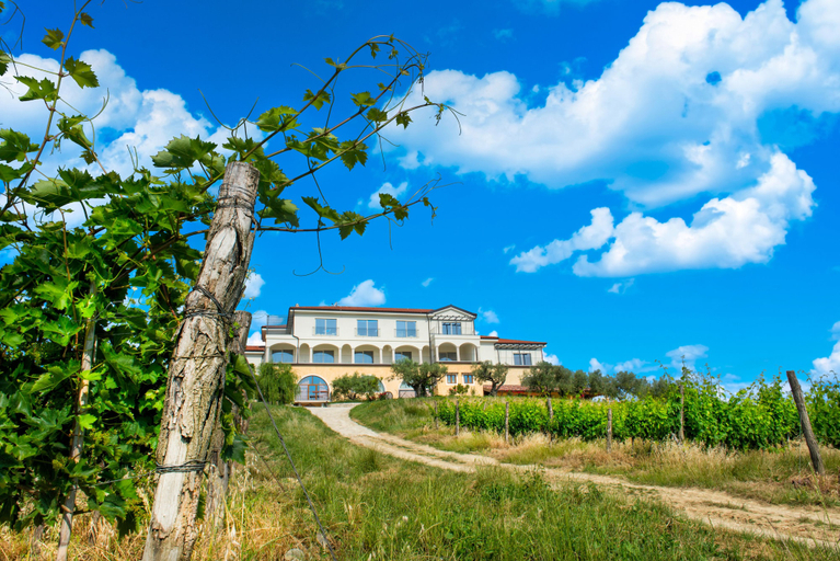 Exterior & Views 2, Wine Residence Cattunar, Brtonigla