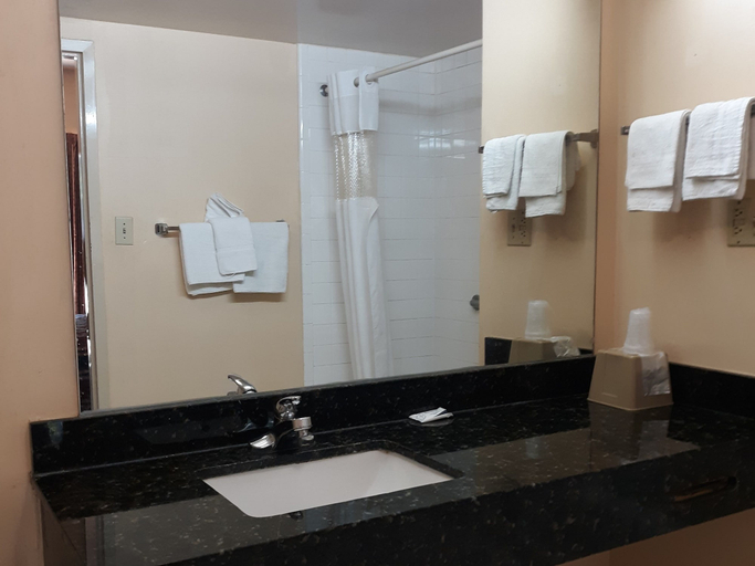 Bathroom 4, Americas Best Value Inn Stockbridge, Henry